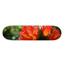Customize Product Custom Skate Board