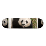 Customize Product Custom Skateboard
