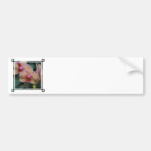 Customize Product - Customized Bumper Stickers
