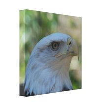 Customize Product Gallery Wrap Canvas