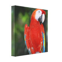 Customize Product Gallery Wrapped Canvas