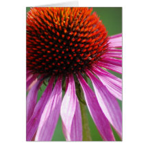 Customize Product Greeting Cards