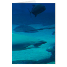 Customize Product Greeting Cards