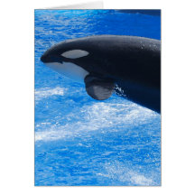 Customize Product Greeting Cards