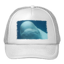Customize Product Hat