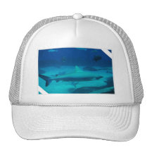 Customize Product Hat