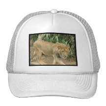 Customize Product Hats