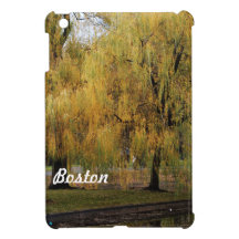Customize Product iPad Mini Cases