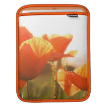 Customize Product iPad Sleeve