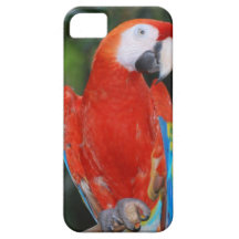 Customize Product iPhone 5 Case