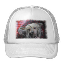 Customize Product Mesh Hats