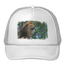 Customize Product Mesh Hats