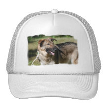 Customize Product Mesh Hats