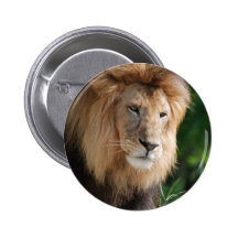 Customize Product Pin