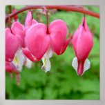 Customize Product Print