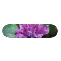 Customize Product Skate Boards