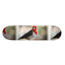 Customize Product Skate Boards
