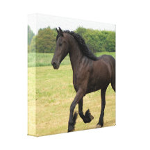 Customize Product Stretched Canvas Print
