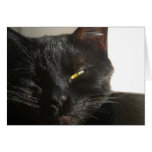 customize this card !