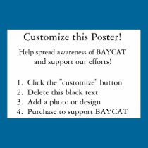 Customize this Poster! posters
