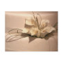 Customize your own calla lily postcards