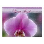 Customize your own Iris card Post Cards