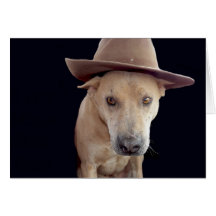 CUSTOMIZE YOUR OWN TEXT/IDEAS WITH MOOKIE GREETING CARDS