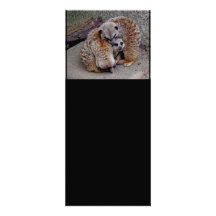 Customized Adorable Snuggling Meerkats Wildlife Custom Invitation