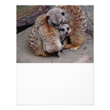 Customized Adorable Snuggling Meerkats Wildlife Invitations