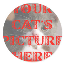 Customized Your Cat's Photo Round Stickers