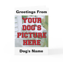 Customized Your Dog's Photo