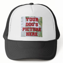 Customized Your Dog's Photo