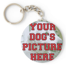 Customized Your Dog's Photo