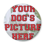Customized Your Dog's Photo