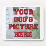 Customized Your Dog's Photo