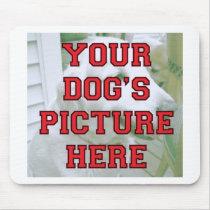 Customized Your Dog's Photo