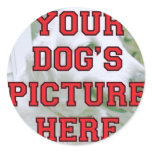 Customized Your Dog's Photo