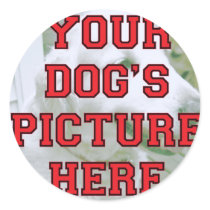 Customized Your Dog's Photo