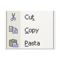 Cut Copy Pasta