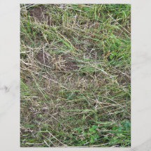 Cut Grass Field With Irregular Patterns Custom Flyer