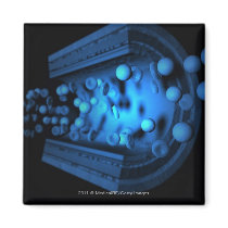 Cut view of blood cells in an artery refrigerator magnet