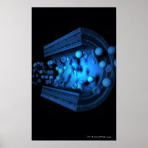 Cut view of blood cells in an artery posters