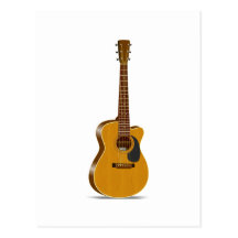 Cutaway Acoustic Guitar Post Cards