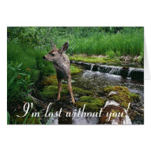 Cute adorable fawn greeting card