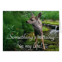 Cute Adorable Fawn Greeting Cards
