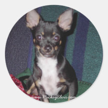 Cute & Adorable MickeyElvis Round Sticker