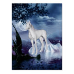 Cute Adorable Mystical Unicorn Post Cards