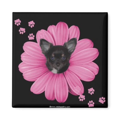 Cute Adorable Sly Heaven Chihuahua Fridge Magnet by mickeyelvis128