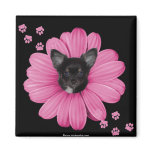 Cute Adorable Sly Heaven Chihuahua Fridge Magnet