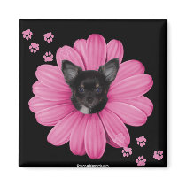 Cute Adorable Sly Heaven Chihuahua Fridge Magnet